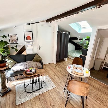 Loft Hortensia Climatise Hyper Centre Castres Кастр Экстерьер фото