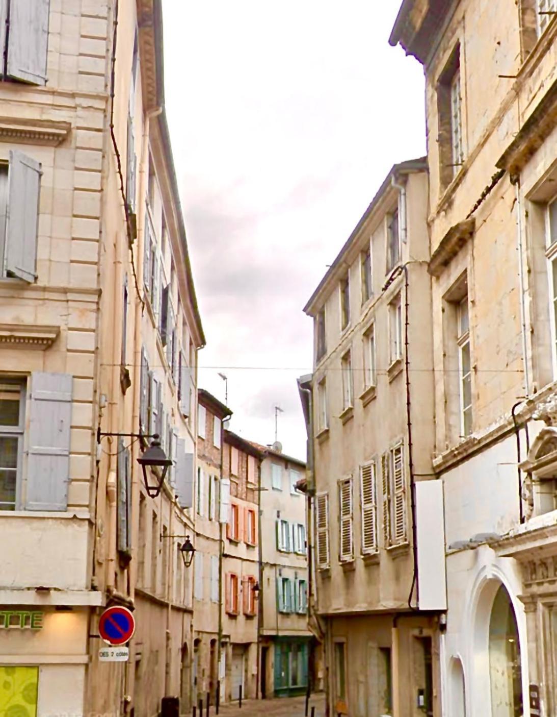 Loft Hortensia Climatise Hyper Centre Castres Кастр Экстерьер фото