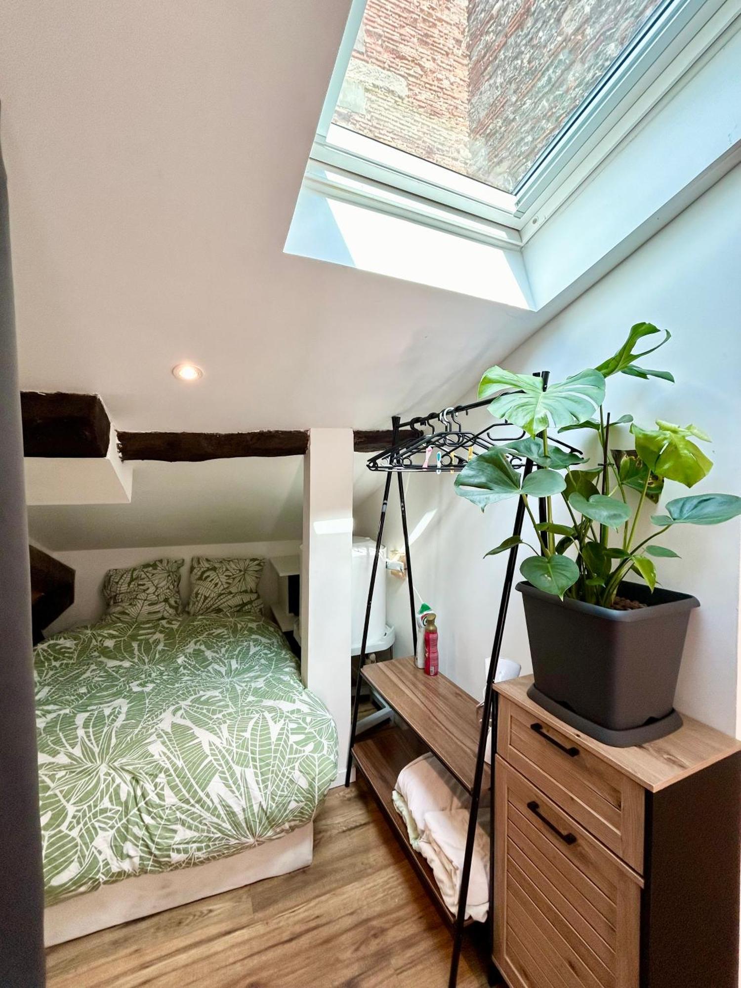 Loft Hortensia Climatise Hyper Centre Castres Кастр Экстерьер фото