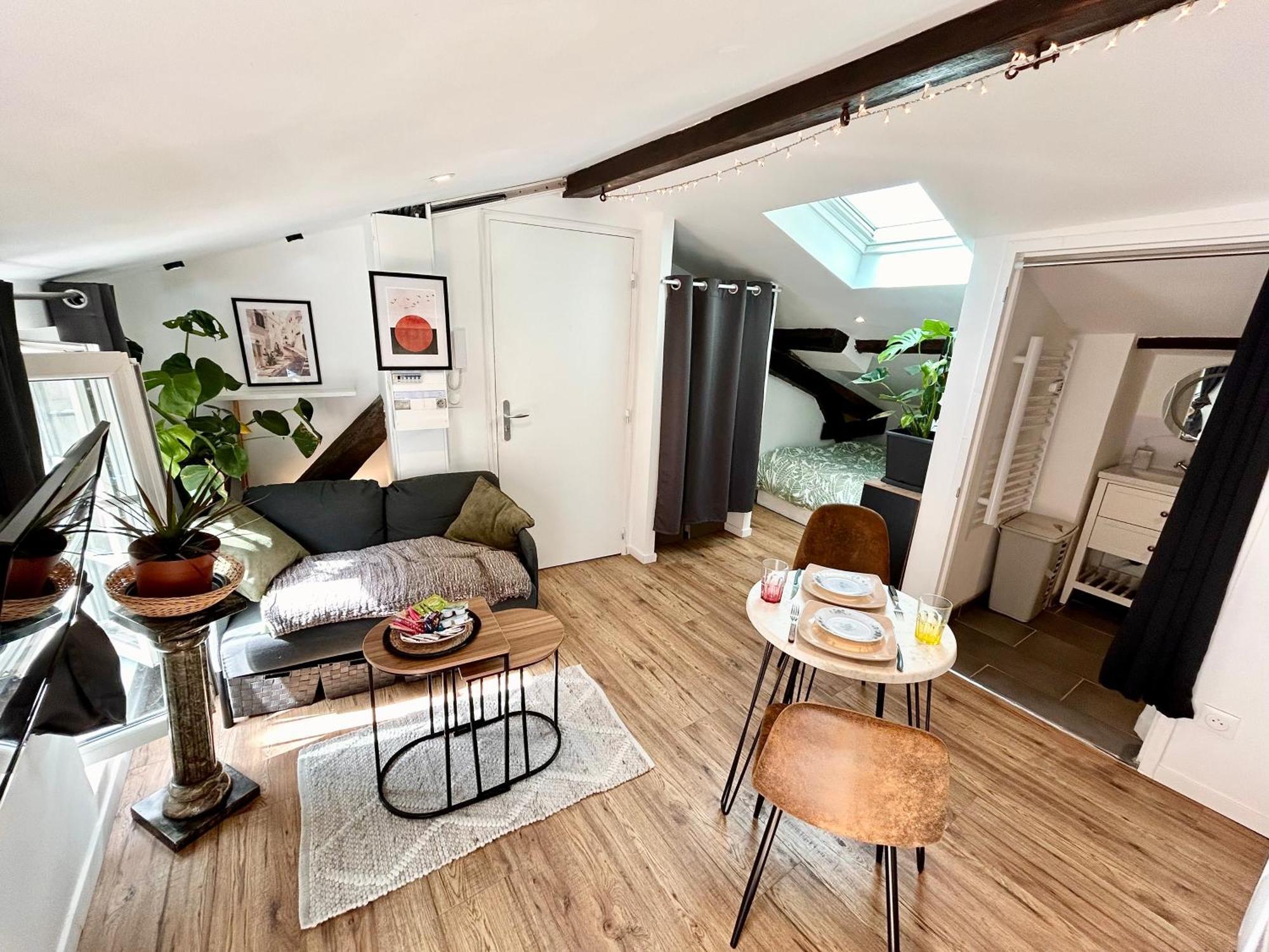 Loft Hortensia Hyper Centre Castres Кастр Экстерьер фото